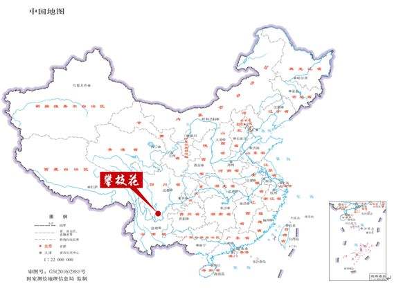 加盟全程护航，经营多重保障